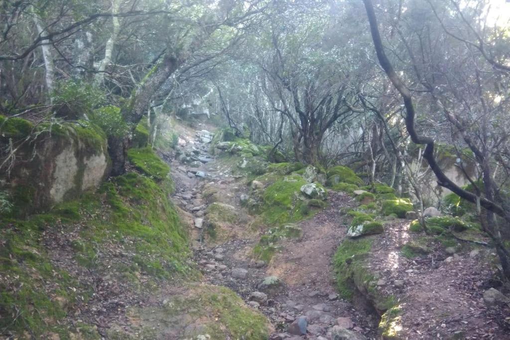 Casa Vacanze A Due Passi Dal Poetto Maracalagonis Dış mekan fotoğraf
